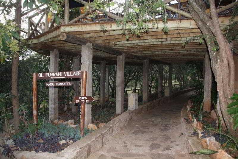 Masai Mara Sopa Lodge 马赛马拉 外观 照片
